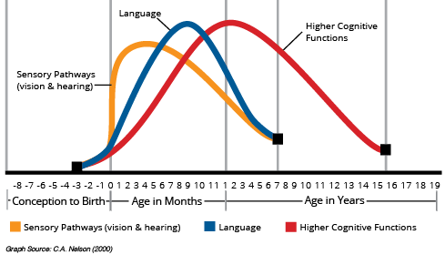 Harvard_Brain_Development_Graph
